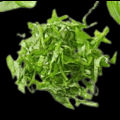 Basil