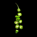 Serrano Peppers